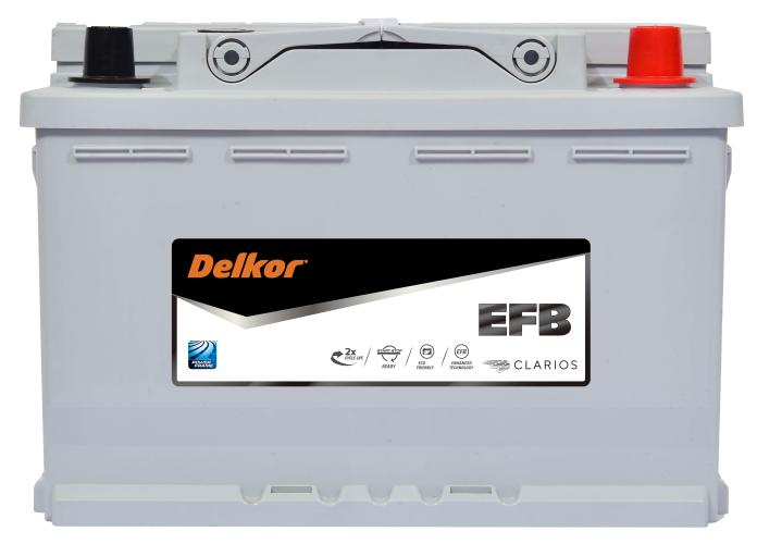 Delkor LN595EFB EFB battery